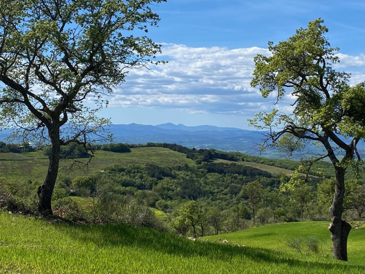 La Colombaia Amiata Bed & Breakfast Arcidosso Bagian luar foto