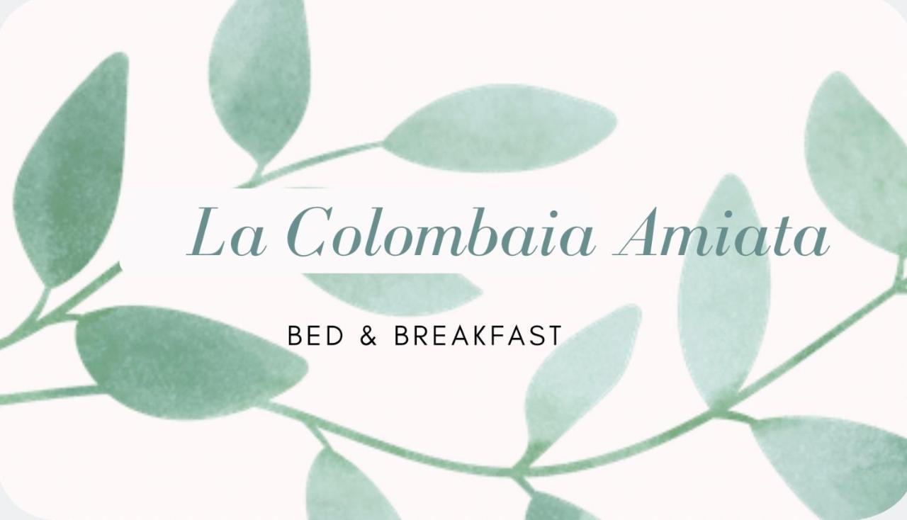 La Colombaia Amiata Bed & Breakfast Arcidosso Bagian luar foto